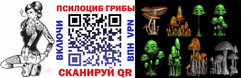 кракен маркетплейс  Пустошка  Галлюциногенные грибы Magic Shrooms  наркота 